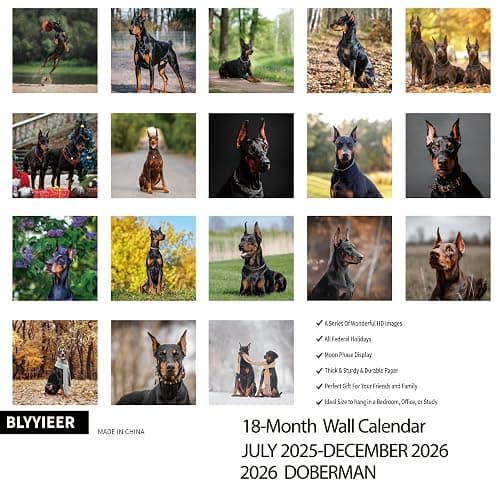 2025-2026 Wall Calendar,Doberman Wall Calendar, 12" x 24" Open,Family Planner Calendar Organizer with Doberman Images, for Dogs Lovers thumbnail 3
