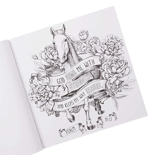 Be Still and Know with Scripture Verses from Psalms Coloring Book for Adults and Teens thumbnail 4