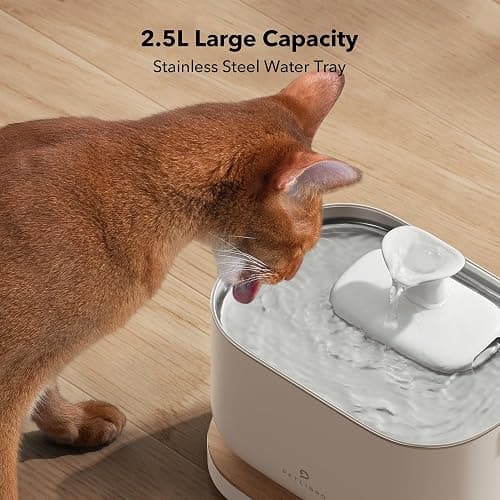 PETLIBRO App-Controlled Cat Water Fountain, Pet Water Fountain with Stainless Steel Tray, Water Fountains for Cats Indoor with Drinking Monitoring, Cat Fountains for Drinking with 2 Wireless Pumps thumbnail 10