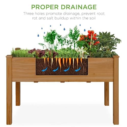 plant box ! thumbnail 4