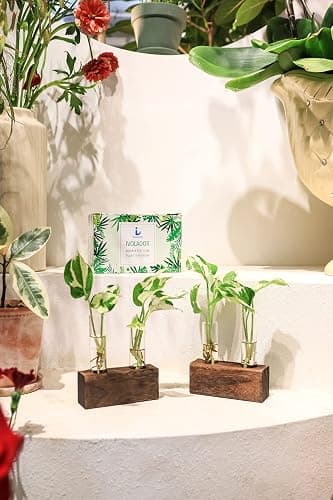 Propagation Station, Plants Terrarium, Plants Lover Gifts for Women,Plant Cutting Holder Home décor,Gifts for Women,House Warming New Home-4 Tubes-Brown thumbnail 2