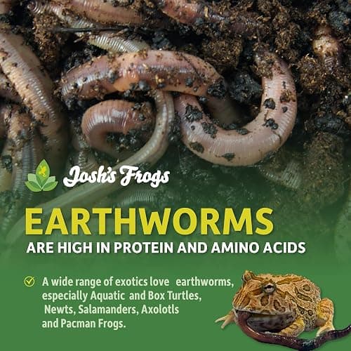 Josh's Frogs Nightcrawlers/Earthworms - 'Lumbricus terrestris' (8 oz) thumbnail 2