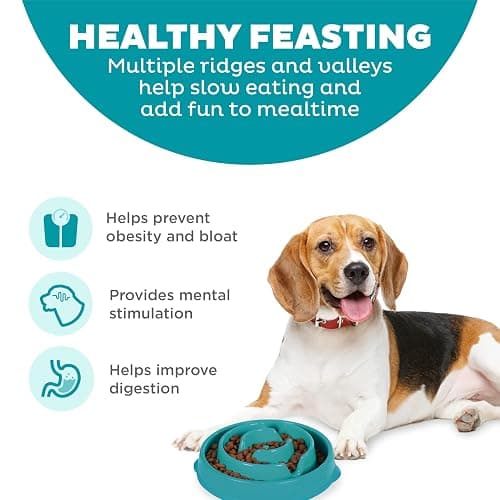 Outward Hound Medium Slow Feeder Bowl, Puzzle Maze for Fast Eaters, Small to Medium Dogs, Helps Prevent Bloat & Aid Digestion, Holds 2 Cups Wet or Dry Food, Non-Slip, Made Without BPA, Turquoise thumbnail 2