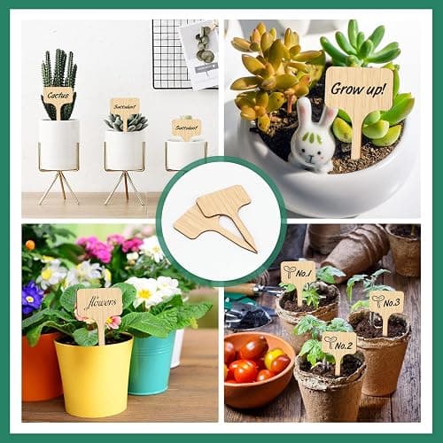 KINGLAKE GARDEN Bamboo Plant Labels,Plant Labels Garden Tags 60 Pack T-Type Wooden Plant Sign Tags Vegetable Garden Markers for Plants(6.5 X 10 cm) thumbnail 7