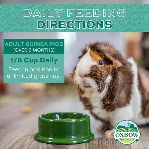 Oxbow Essentials Guinea Pig Food, Adult Guinea Pig, Made with Oxbow Timothy Hay, Pet Food Pellets with Vitamin C, Small Animal Pet Products, Made in USA, High Fiber, 10 lb. bag thumbnail 4