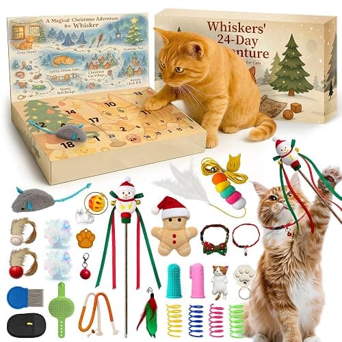Rubypop Cat Advent Calendar 2025, 24 Days Christmas Countdown Box for Cats with Interactive Toys, Catnip Balls & Feather Wand, Xmas Holiday Gift for Kittens & Cats Lover - Image 1