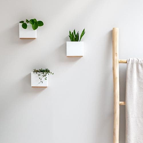 Kazai. Wandvasen -Alma- | Moderne Hängende Blumentöpfe für die Wand | 3-teiliges Übertopf-Set aus hochwertigem Resin für Zimmerpflanzen, Kunstpflanzen, Blumen u.m. | Weiss thumbnail 2