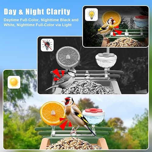 Smart Bird Feeder with Camera with AI Identify Birds Species & Solar Panel, WiFi Birdfeeder with Cam, 2K Live View, Chew-Proof & Waterproof Design, Real-Time App Alerts, Gift for Bird Lovers, Green thumbnail 5