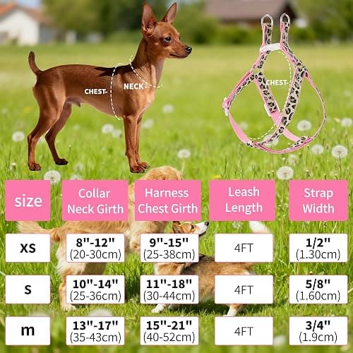 Mile High Life Leopard Dog Harness Collar Leash Set, Adjustable No Pull Dog Halter Harness for Small Breed Dogs, Easy Control for Training Walking (Brown, S Chest 11"-18", Neck 10"-14") thumbnail 2