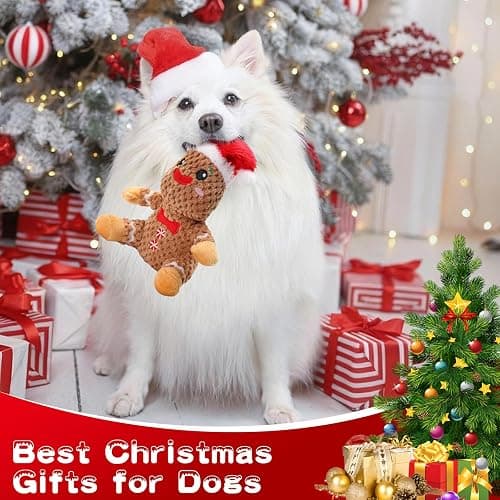 loncoldy Christmas Dog Toys Gingerbread Man Dog Squeaky Toy Cute Stuffed Large Plush Chew Toy to Keep Them Busy Interactive Puppy Toys Holiday Pet Toys for Dogs Gifts for Puppy, Small, Medium Breed thumbnail 3