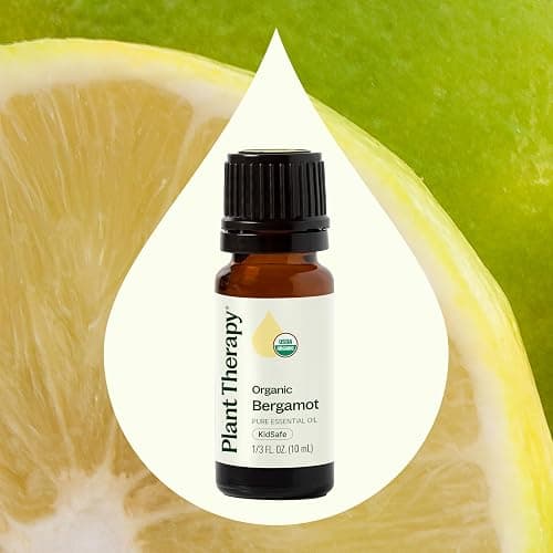 Plant Therapy Organic Bergamot Essential Oil 10 mL (1/3 oz) 100% Pure, Undiluted, Therapeutic Grade thumbnail 3