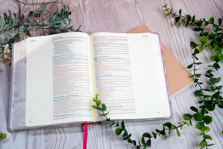 Biblia Reina Valera 1960 de apuntes gris y floreado , tela impresa | RVR 1960 NoteTaking Bible, Grey and Pink, Cloth over Board (Spanish Edition) thumbnail 5
