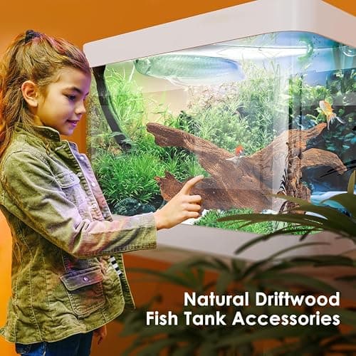 Jorewood Natural Aquarium Driftwood for Fish Tanks & Reptile Terrariums – Safe Fish Tank Decorations, Unique Twisted Branches 3-Piece 7-11 Inch Low Tannin, Easy to Sink thumbnail 5