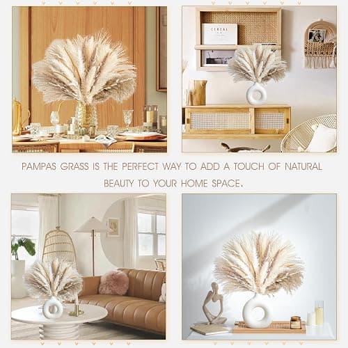 70PCS Natural Dried Pampas Grass Boho Home Decor Bouquet Phragmites Dried Flowers Bouquet for Wedding Floral Arrangements Home Decorations (70PCS) thumbnail 3