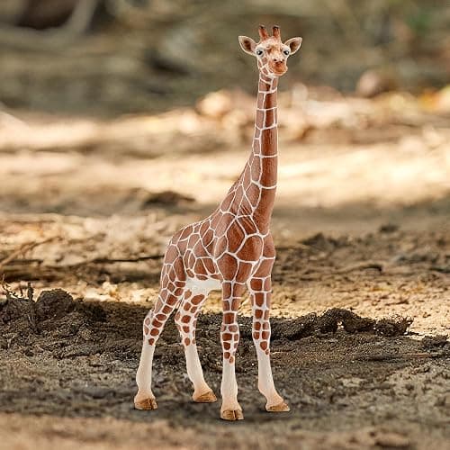 SCHLEICH Wild Life - Realistic 7" Giraffe Animal Toy - Durable Giraffe Figurine for Educational Screen-Free Play - African Safari Wildlife Rescue Animal Figure - Boys and Girls 3+ | 14750 thumbnail 7