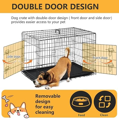 FDW | 36" Foldable Metal Dog Crate | Black | Cage for Medium Dogs | Heavy Duty, Portable Wire Kennel with Double Door, Divider & Leak-Proof Tray | For Training, Home, Travel Indoor/Outdoor Use thumbnail 4