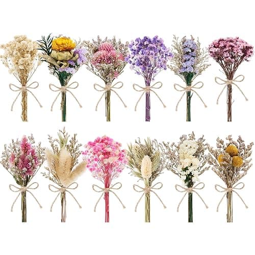 LawnIdyll 12/24 PCS Charming Dried Flowers Bouquet for Vase Various Dried Wildflowers with Stems Mini Handmade Wildflowers Natural Real Flowers Bulk Flowers Craft (Various Series, 12 PCS) - Image 1