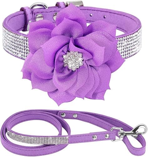 Pimaodog Cute Dazzling Sparkling Elegant Fancy Soft Suede Leather Bling Rhinestone Crystal Jeweled Pet Cat Dog Puppy Collar Dog Leash Combo Set (XXS(Neck 6-8"), Purple-6) - Image 1