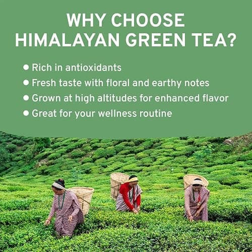 VAHDAM, Himalayan Green Tea Leaves (50+ Cups, 3.53 Oz) Non GMO, Gluten Free | High Elevation Grown Green Tea Leaves From Himalayas | Pure Unblended Single Origin Green Loose Leaf Tea | Vacuum Sealed thumbnail 7