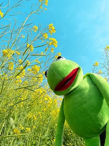 Kermit Frog Puppet, The Muppets Show, Soft Hand Frog Stuffed Plush Toy, Christmas Birthday Gift Ideas for Boys and Girls- 24 Inches thumbnail 8