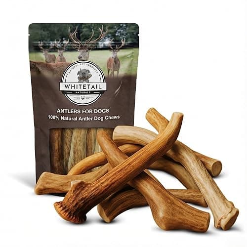 WhiteTail Naturals Deer Antlers for Dogs (1 lb Bulk Pack) Premium Antler Chews for Medium to Large Dogs – Grade A, Wild Sourced & Naturally Shed (Approx. 4-5 Count) - Image 1