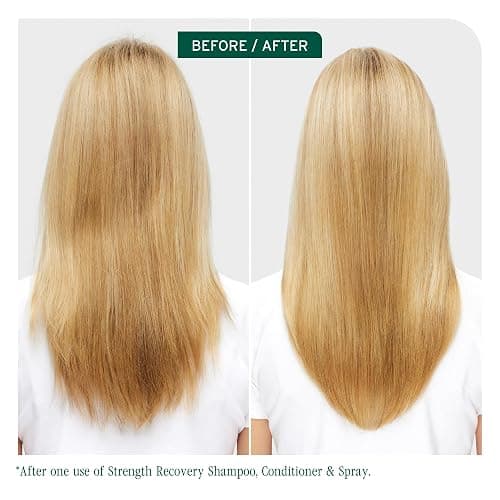 Biolage Strength Recovery Repairing Spray - Leave-In Treatment, Strengthens & Repairs Damaged Hair, Heat Protectant, Detangling Leave-In Treatment, With Olive Squalane & Vegan Proteins thumbnail 3