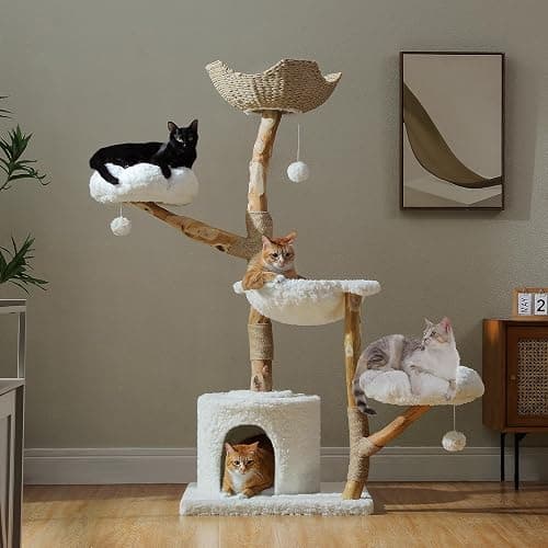 PAWZ Road Cat Tree for Indoor Cats Large Adults, 59 Inches Modern Cat Tower with Large Basket and Hammock, Natural Solid Wood, Luxury Condo & Dual Perches, Modern Cat Furniture for Big Cats, White - Image 1