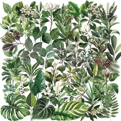 100PCS Green Plant Transparent Stickers,Potted Plant Floral Decals Stickers for Scrapbook Laptop Water Bottles Phone Guitar Decals for Kids Teens Adults (Green Plants) thumbnail 3