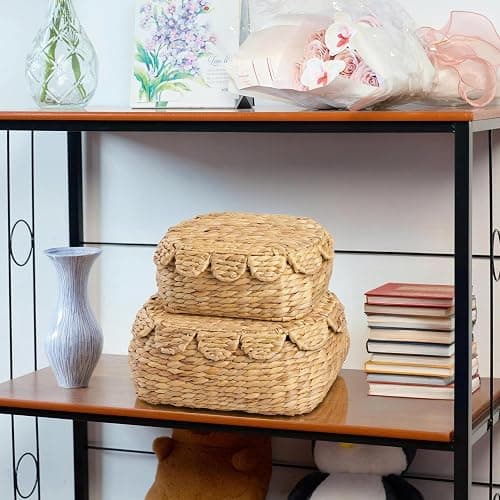 LUSYDECO Round Wicker Storage Baskets with Lid, Rattan Basket Decorative Boxes, Woven Storage Box Hyacinth Basket with Lids, Scalloped Edge Wicker Basket with Lid, Set of 2 thumbnail 2