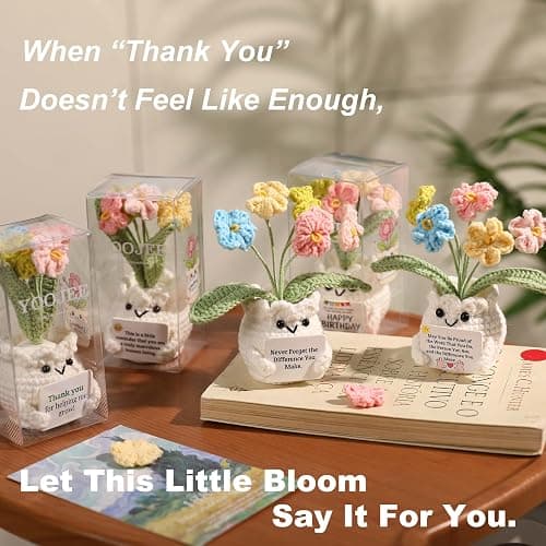 YOOJEE Forget-Me-Not Crochet Flower Potted Plant Gift | Difference You Make Gift, PET Display Box, Teacher Appreciation, Coworker, Employee, Thank You Gift, Handmade Desk Decor thumbnail 5