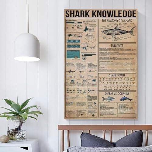 JPOSTHCZ Shark Knowledge Poster with Anatomy of Sharks Educational Canvas Wall Art Aesthetic Decorative Painting Living Roomstyle 12x18inch(30x45cm) thumbnail 5