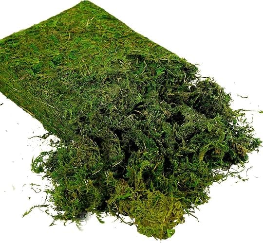 USMOLA Artificial Moss, 16OZ Fake Moss for Crafts, Decorative Centerpieces, Fairy Garden, Wedding Party Decor, Faux Potted Plants, 455gr (Fresh Green) thumbnail 3