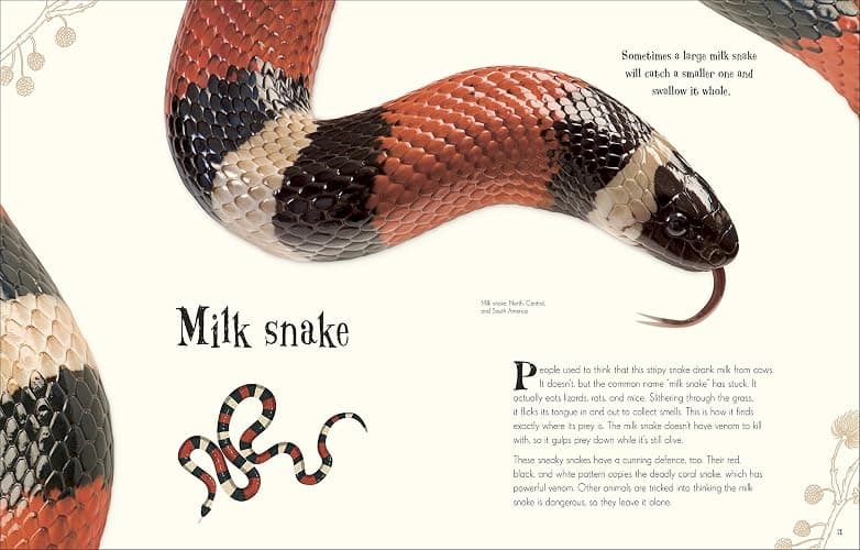 Anthology Of Intriguing Animals thumbnail 7