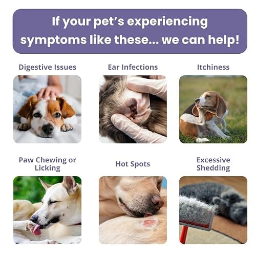 Glacier Peak Holistics, The Original Pet Intolerance Test - Screen for 395+ Food and Environmental Stressors, A Hair and Saliva Kit for Cat and Dog Sensitivities (Results in 7-10 Business Days) thumbnail 4