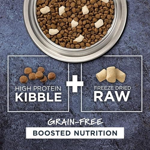 Instinct Raw Boost, Natural Dry Cat Food with Freeze Dried Pieces, High Protein, Grain Free Recipe - Real Salmon, 4.5 lb. Bag thumbnail 3