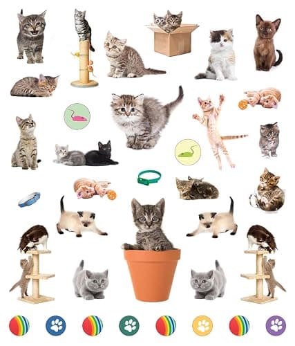 Eyelike Stickers: Kittens thumbnail 5