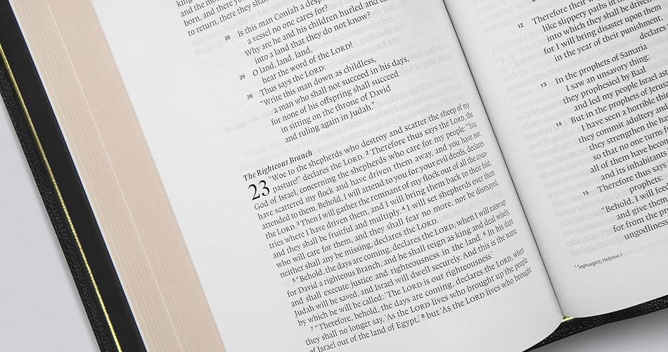 ESV Preaching Bible (Goatskin, Black) thumbnail 5
