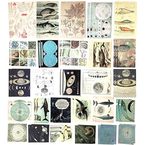 Esweny 200 Pieces Vintage Ephemera Scrapbooking Supplies Pack for Journaling, Decoupage Paper Scrapbook Stickers Kit for Junk Journal Planners Collage Craft Notebooks Album (Space and Sea) thumbnail 4