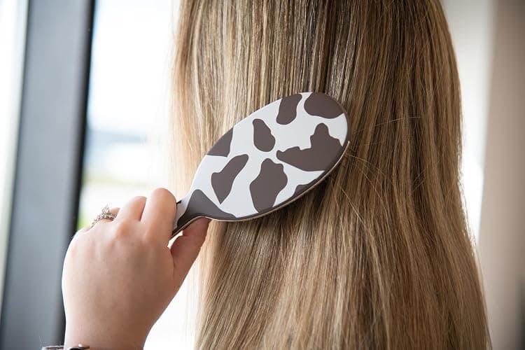 FRAMAR Cow Print Hair Brush Detangler, Detangling Hairbrush For Women, Wet Hair Brush For Girls, Hair Detangler Brush, Wet Hairbrush, Hairbrushes, Girls Hairbrush Detangler, Reduces Frizz – Cow Print thumbnail 3