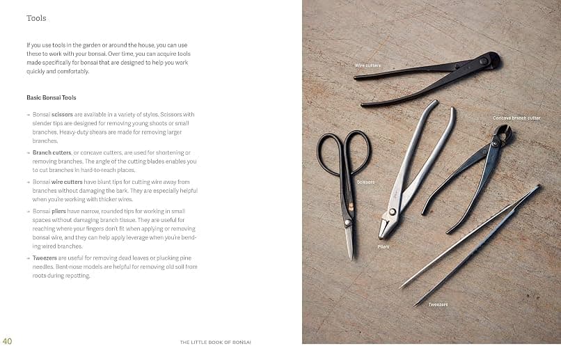 The Little Book of Bonsai: An Easy Guide to Caring for Your Bonsai Tree thumbnail 5