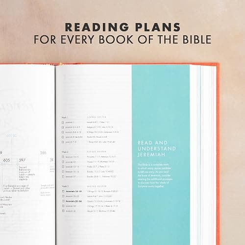 CSB She Reads Truth Bible, Poppy Linen, Black Letter, Full-Color Design, Notetaking Space, Devotionals, Reading Plans, Two Ribbon Markers, Sewn Binding, Easy-to-Read Type thumbnail 13