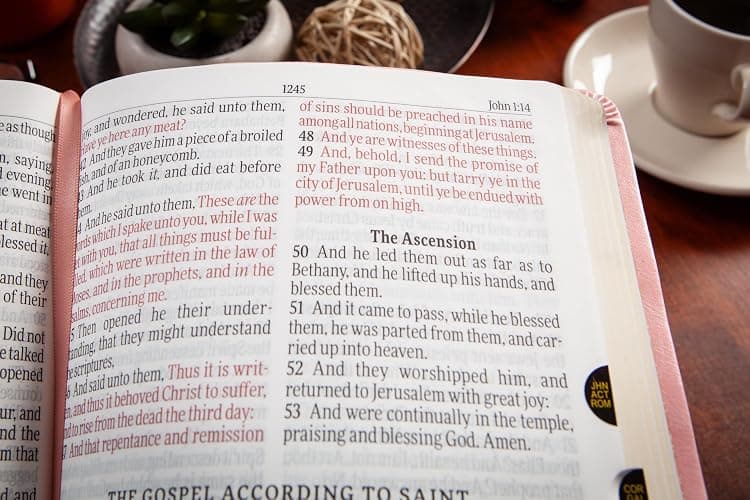 KJV Holy Bible: Blush (Light Pink), Giant Print (14 pt) – Thumb Indexed, Faux Leather, King James Version thumbnail 4