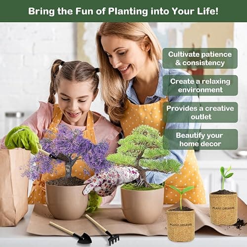 LUOJIBIE Bonsai Tree Kit, Complete Bonzai Tree Starter Kits with Tools, Unique Christmas Birthday DIY Gardening Gifts for Women Mom Men Grandkids, Crafts Hobby Kits, Grow Bonsai Tree Live Indoor thumbnail 5
