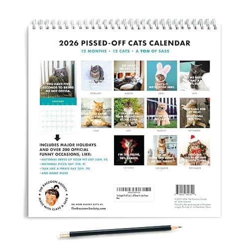 The Original P'd Off Cats 2026 Calendar - Funny, Sassy Gift for Angry Cat Lovers - 12 Month Wall Planner for Joke Present thumbnail 6