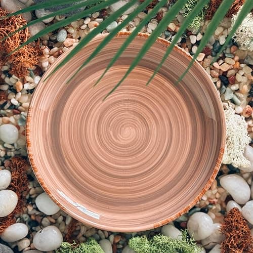 MORA Ceramic Helix Swirl Dinner Plates Set of 6, 10in Modern Spiral Porcelain Dish Dinnerware for Kitchen, Serving & Restaurants - Dishwasher, Microwave, Freezer, Oven Safe Dishware - Earth Colors thumbnail 6