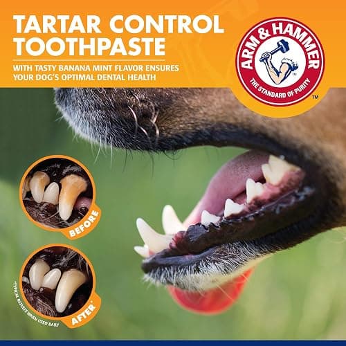 Arm & Hammer for Pets Tartar Control Kit for Dogs Contains Toothpaste, Toothbrush & Fingerbrush Reduces Plaque & Tartar Buildup, 3-Piece Kit, Banana Mint Flavor (Pack of 1) thumbnail 5