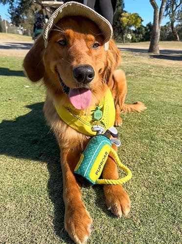 PUPROAR Golf Dog Toy, Dog Birthday Gift, Funny Squeaky Plush Rope Golf Bag Toy for Small, Medium & Large Breeds thumbnail 4