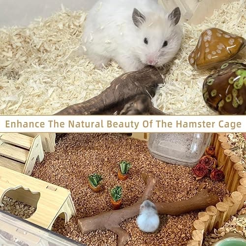kathson 2PCS Wood Hamster Climbing Branches Decor, Natural Wooden Syrian Hamster Climb Chewing Toys, Rat Exercise Toys, Small Animal Habitat Decor Accessories for Dwarf Pets, Gerbils, Mice (5.9 in) thumbnail 8
