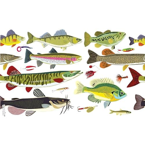 Tervis Freshwater Fish and Lures Made in USA Double Walled Insulated Tumbler Travel Cup Keeps Drinks Cold & Hot, 16oz, Classic thumbnail 4