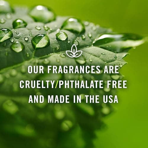P&J Fragrance Oil - Night Air 30ml - Candle Scents, Soap Making, Diffuser Oil, Fresh Scents thumbnail 6